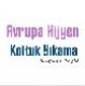 Avrupa Hijyen Koltuk Yıkama